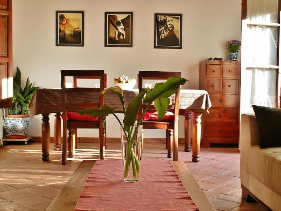 Apartment Oasis *