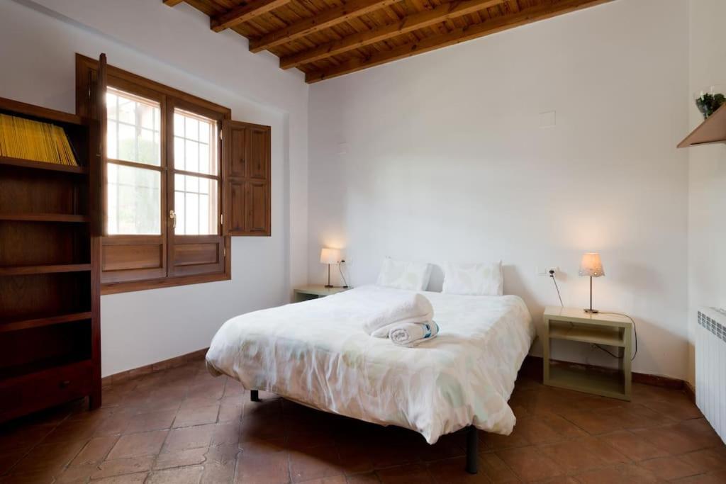 Appartement Oasis *