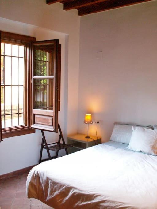 Appartement Oasis